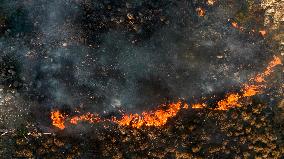 Izmir Wildfires - Turkey