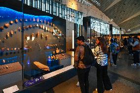 Grand Egyptian Museum