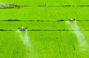 High-standard Farmland in Xing 'an League