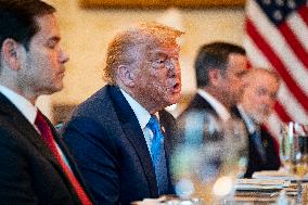 President Trump during a dinner with PM Netanyahu - DC