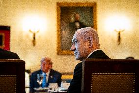 President Trump during a dinner with PM Netanyahu - DC