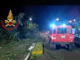 Severe Weather Causes Damage in Brianza - Italy