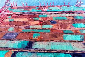Iron Ore Import at Qingdao Port