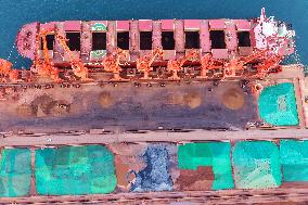 Iron Ore Import at Qingdao Port