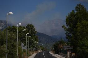 Thousands Told to Stay Home as Spain Forest Fire Rages on