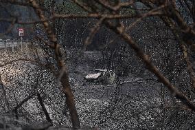Thousands Told to Stay Home as Spain Forest Fire Rages on