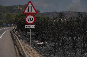 Thousands Told to Stay Home as Spain Forest Fire Rages on
