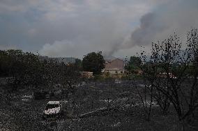 Thousands Told to Stay Home as Spain Forest Fire Rages on