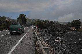 Thousands Told to Stay Home as Spain Forest Fire Rages on