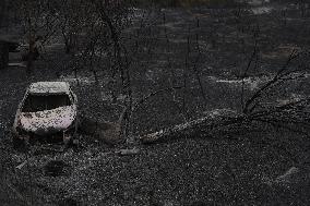 Thousands Told to Stay Home as Spain Forest Fire Rages on