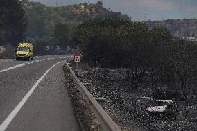 Thousands Told to Stay Home as Spain Forest Fire Rages on
