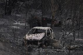 Thousands Told to Stay Home as Spain Forest Fire Rages on
