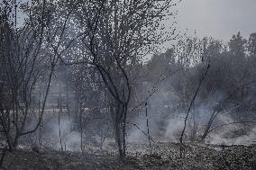 Thousands Told to Stay Home as Spain Forest Fire Rages on