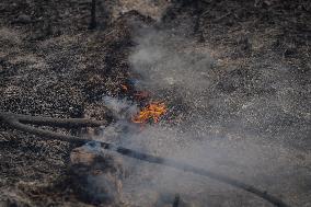 Thousands Told to Stay Home as Spain Forest Fire Rages on