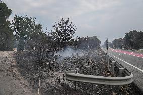 Thousands Told to Stay Home as Spain Forest Fire Rages on