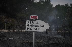 Thousands Told to Stay Home as Spain Forest Fire Rages on