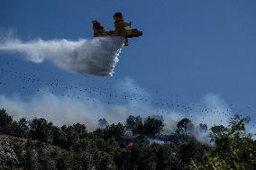 Wildfire Reaches Edge Of Marseille - France