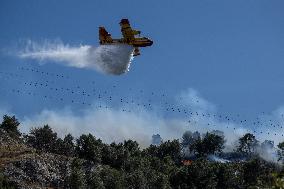 Wildfire Reaches Edge Of Marseille - France