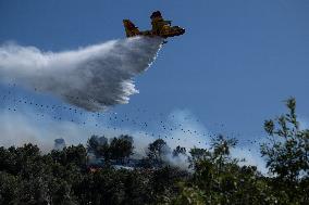 Wildfire Reaches Edge Of Marseille - France