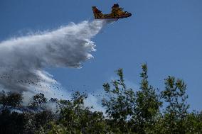 Wildfire Reaches Edge Of Marseille - France