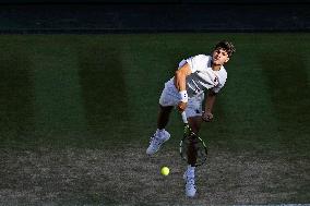 Tennis: Wimbledon championships