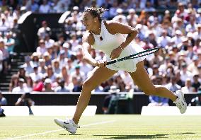 Tennis: Wimbledon championships