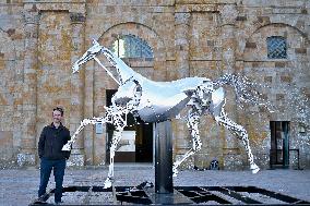 Zeus The Olympic Horse Arrives At Mont Saint-Michel