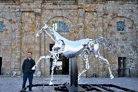 Zeus The Olympic Horse Arrives At Mont Saint-Michel