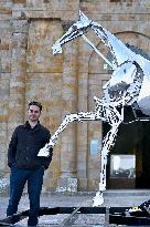 Zeus The Olympic Horse Arrives At Mont Saint-Michel