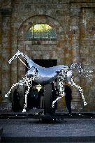 Zeus The Olympic Horse Arrives At Mont Saint-Michel