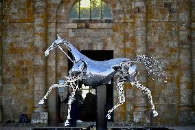 Zeus The Olympic Horse Arrives At Mont Saint-Michel