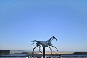 Zeus The Olympic Horse Arrives At Mont Saint-Michel