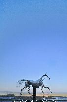 Zeus The Olympic Horse Arrives At Mont Saint-Michel