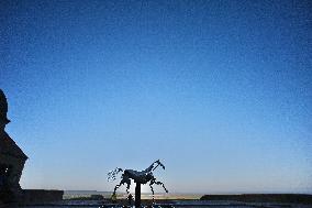 Zeus The Olympic Horse Arrives At Mont Saint-Michel