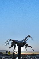Zeus The Olympic Horse Arrives At Mont Saint-Michel