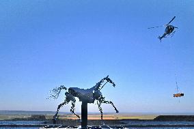 Zeus The Olympic Horse Arrives At Mont Saint-Michel