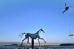 Zeus The Olympic Horse Arrives At Mont Saint-Michel