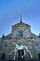 Zeus The Olympic Horse Arrives At Mont Saint-Michel