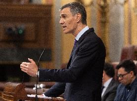 Sánchez Addresses Corruption and EU Matters in Plenary - Madrid