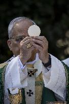 Pope Leo XIV Celebrates Holy Mass - Italy