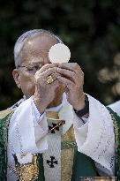 Pope Leo XIV Leads Mass at The Summer Residence - Castel Gandolfo
