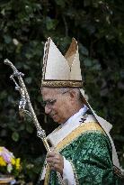Pope Leo XIV Leads Mass at The Summer Residence - Castel Gandolfo