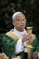 Pope Leo XIV Leads Mass at The Summer Residence - Castel Gandolfo