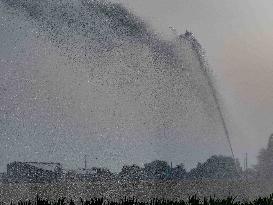 Illustration - Irrigation in Beauce Agriculture - France