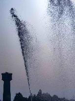 Illustration - Irrigation in Beauce Agriculture - France