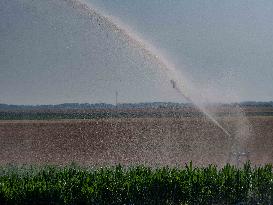 Illustration - Irrigation in Beauce Agriculture - France