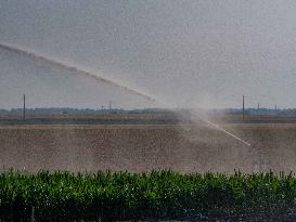 Illustration - Irrigation in Beauce Agriculture - France