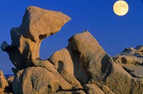 Illustration - Campomoro