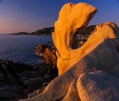 Illustration - Campomoro