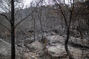 The Fire, Which Has Already Burned 3,321 Hectares, Is Under Control - Spain